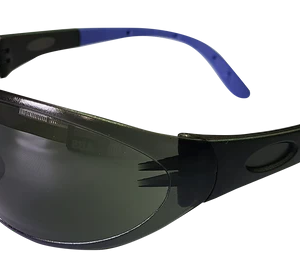 Pioneer Vision Spider Spectacl Grey Anti-Scratch Anti-Fog