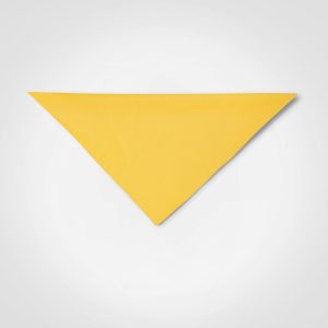 Plain Bandana