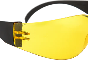 Spider Spectacles